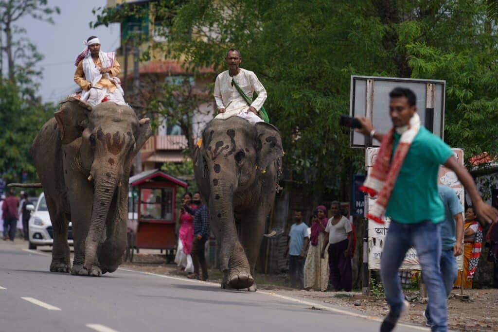 Bihu celebration