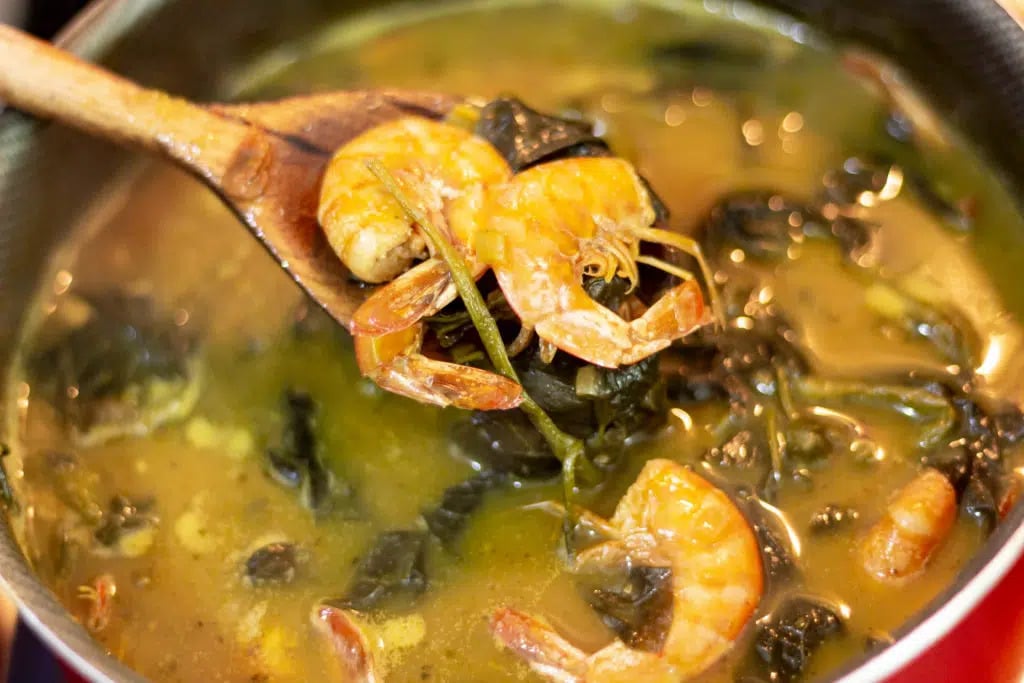 Brazilian dishes: Tacacá