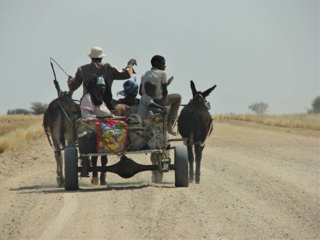 a donkey cart with people riding on it