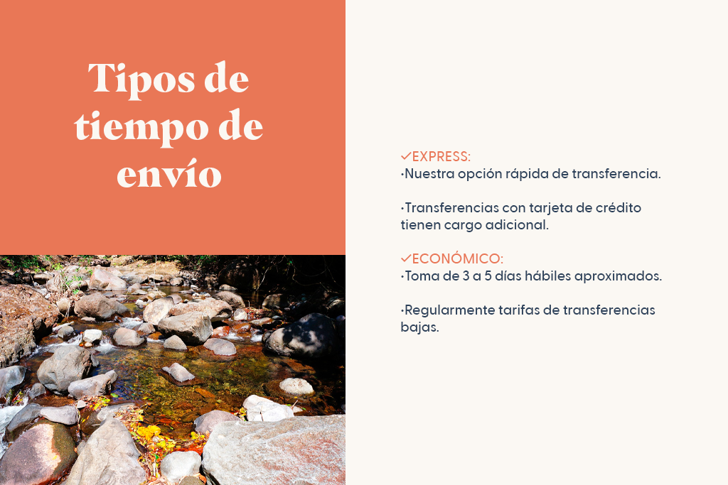 Tipos de tempo de envío