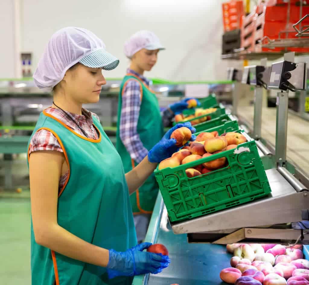 Việc làm cho người nhập cư: Những điều bạn cần biết để làm việc ở Hoa Kỳ