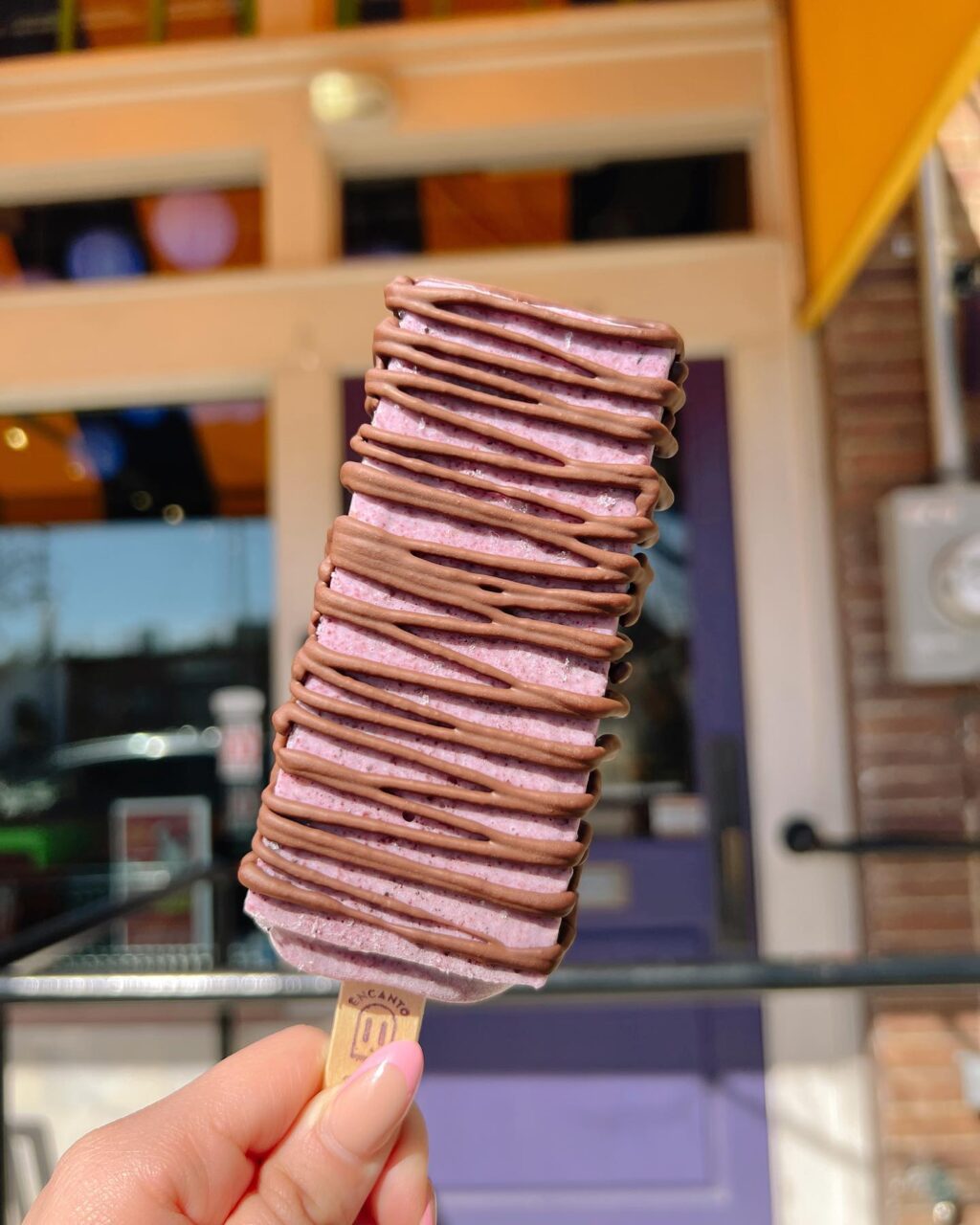 Paleta from Encanto Pops