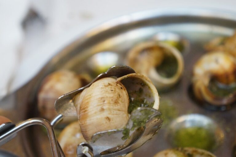 escargot