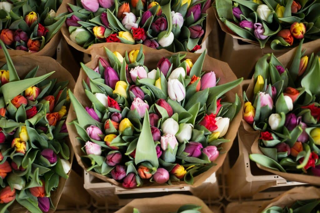 Tulips at an Amsterdam flower market