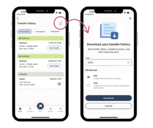 How to Download Your Remitly Transfer History for Tax Season
