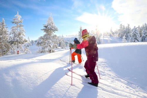 Ski Resorts in Australia: A Complete Guide To Every Major Resort for 2026