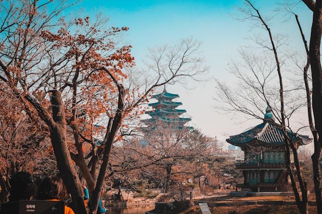 Trees and temples in a park in Seoul, South Korea
