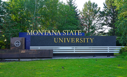 View of the campus of Montana State University in Bozeman, home of the Bobcats. MSU is a public research and teaching university.