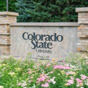 Fort Collins, CO - July 16, 2022: Entrance sign to the University of Colorado in Fort Collins, Colorado