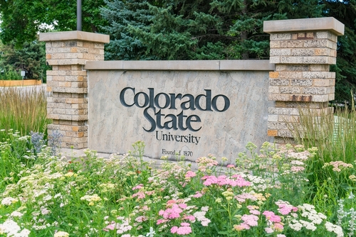Fort Collins, CO - July 16, 2022: Entrance sign to the University of Colorado in Fort Collins, Colorado