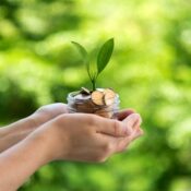 Green plant growth in coin jar
