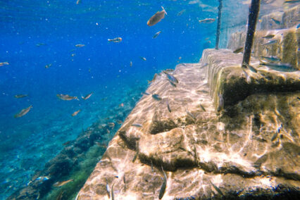 Underwater staircase with fish swimming around.