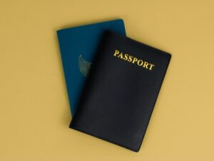 Large Passport Book vs Standard: Which to Choose?- Beyond Borders