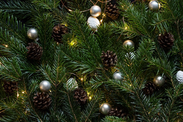 Close up of Christmas tree branches, pine cones and baubles.