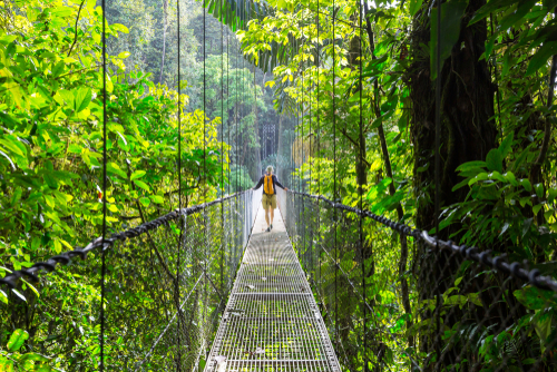 Hiking in green tropical jungle, Costa Rica, Central America