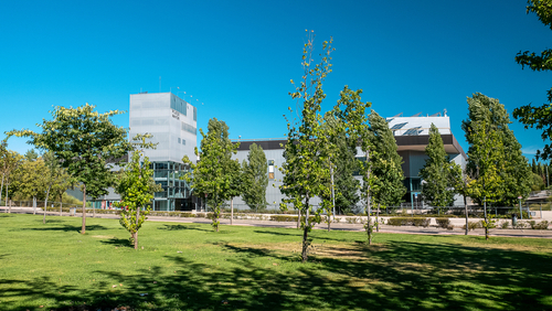 The beautiful campus of the Autonoma University