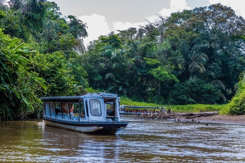 A view of river traffic at a bend and shallow part of the Tortuguero River in Costa Rica during the dry season
