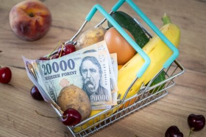Grocery basket with food and 20,000 Hungarian forints