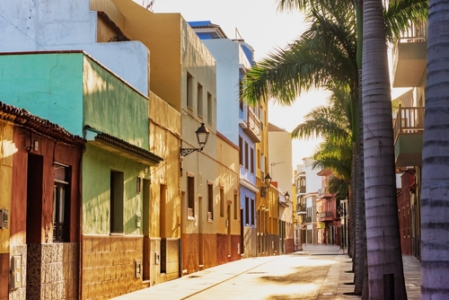 Colorful houses and palm trees on the street in Puerto de la Cruz town, Tenerife, Canary Islands, Spain.