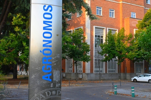 University City, Madrid, Spain, Complutense University, Polytechnic