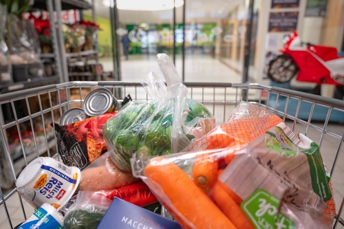 Fresh vegetables and canned food in shopping cart, grocery shopping, supermarket in Trier, Germany, rising prices, high cost of living, inflation,