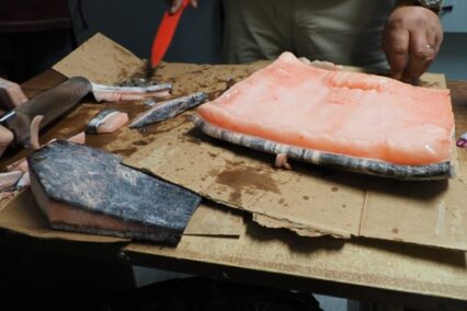 Inuit Cuisine: Arctic Ingredients and Traditional Food Practices