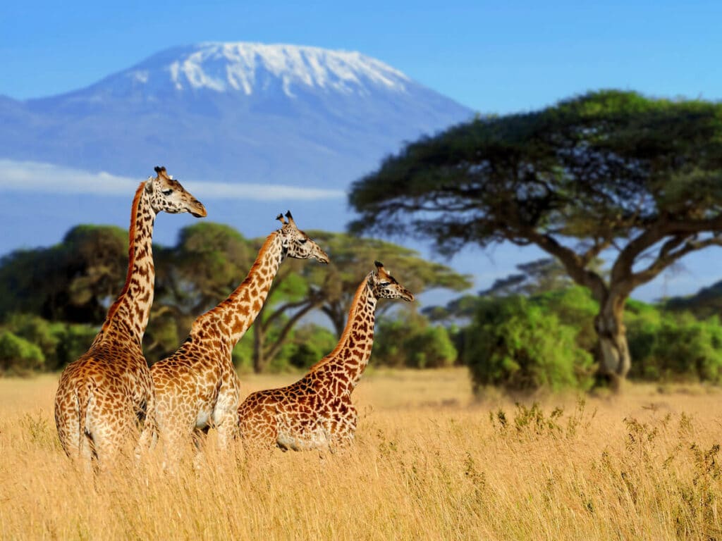Kenya