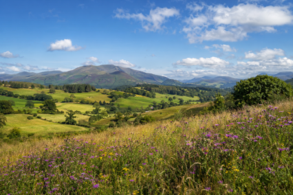 World Nature Conservation Day 2026 in the UK: Date, Theme & How to Take Part