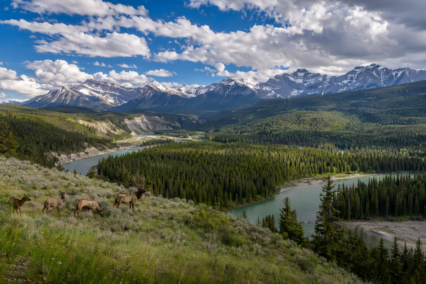 World Nature Conservation Day 2026 in Canada: Date, Theme & How to Take Part