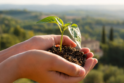 Journée mondiale de la conservation de la nature 2026 en France : comment agir