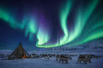 Sami Food Guide for Australians: Arctic Ingredients, Reindeer Traditions, and Nordic Dishes