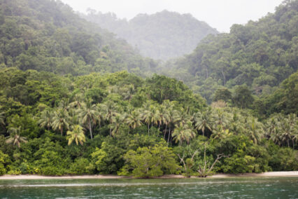 Understanding the Weather in Papua New Guinea