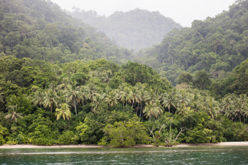 Understanding the Weather in Papua New Guinea