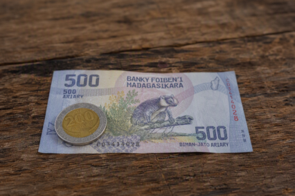 Madagaskar Ariarisi Simgesi Ne Anlama Gelir?