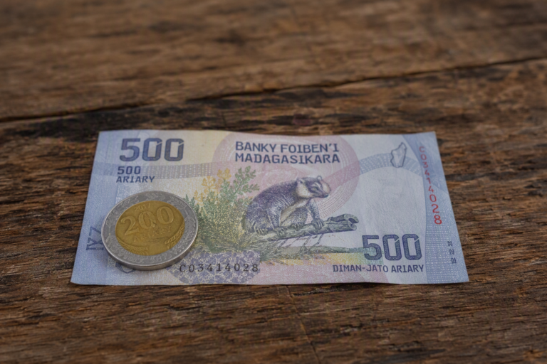Madagaskar Ariarisi Simgesi Ne Anlama Gelir?