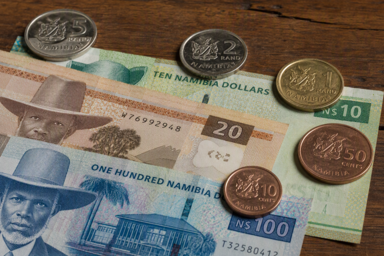 Quel Symbole Représente Dollar Namibien ?