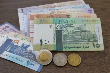 Información Detallada Sobre El Símbolo De Libra Sudanesa
