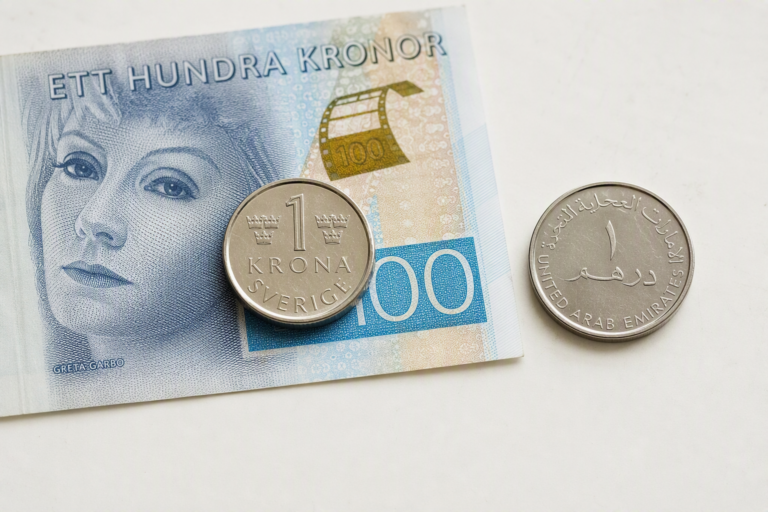 Swedish Krona Symbol: A Quick Guide For UAE Expats