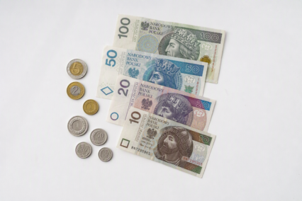 Tout Savoir Sur Le Symbole De Zloty Polonais