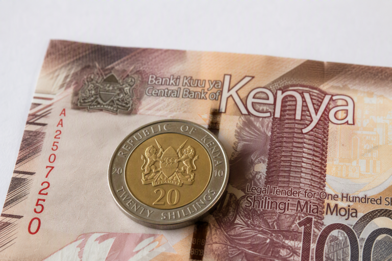 Par Quel Symbole Est Représenté Shilling Kényan ?