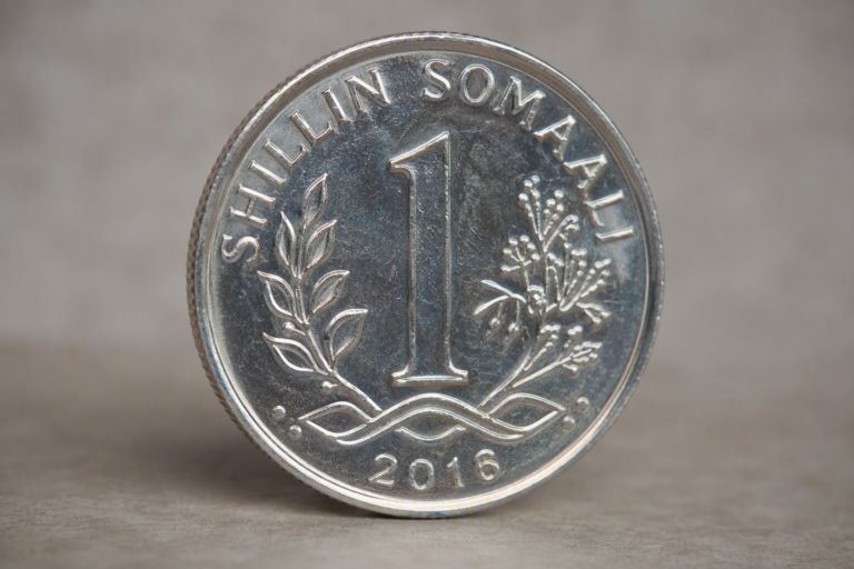 Symbole De Shilling Somalien : Qu’est-ce Que C’est ?