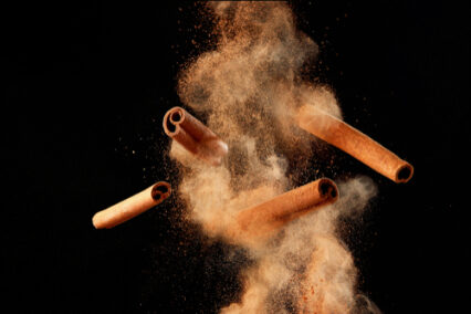 What Is the Age 25 Rule in Denmark? Cinnamon, Pepper, and a Beloved Birthday Prank