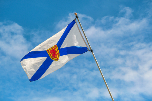 Natal Day 2026 in Halifax: Parade Route, Road Race and Long Weekend Guide