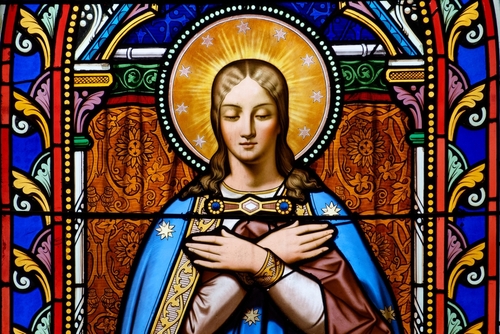 The Queenship of Mary 2026: What It Is and How to Celebrate