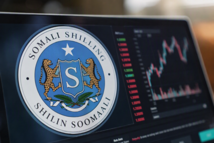 Somali Şilini Sembolü Nedir?
