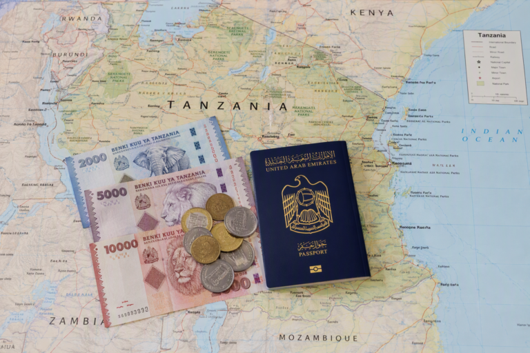 Tanzanian Shilling Symbol Explained For Travellers From The UAE