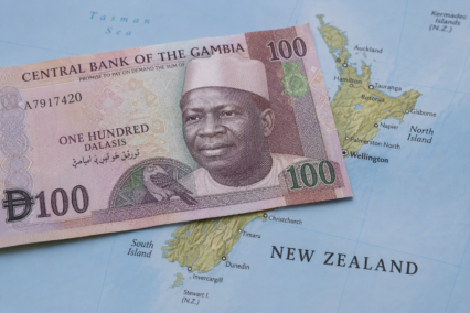 What Does The Gambian Dalasi Symbol Look Like? A Guide For New Zealand