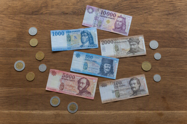 What Does The Hungarian Forint Symbol Look Like? A Guide For New Zealand