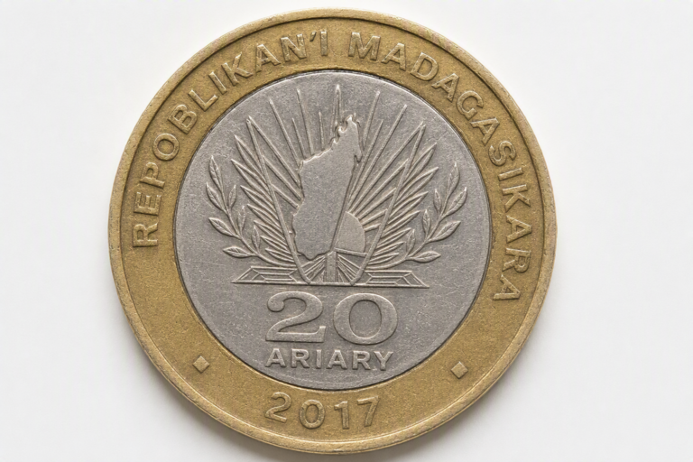 Malagasy Ariary Symbol: What Kiwi Travellers Need To Know