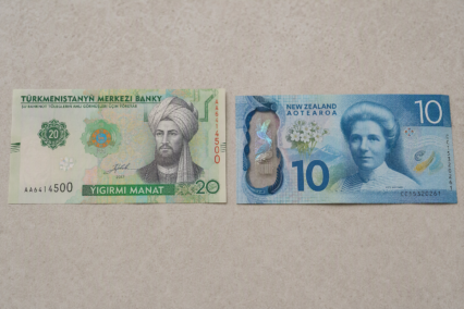 What Does The Turkmenistani Manat Symbol Look Like? A Guide For New Zealand